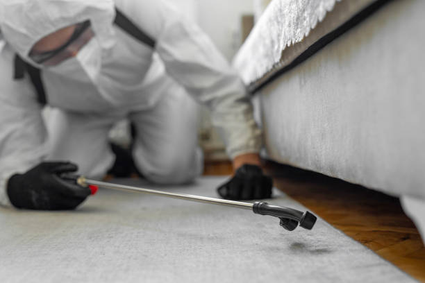 Professional Pest Control technician working in Chillicothe, OH